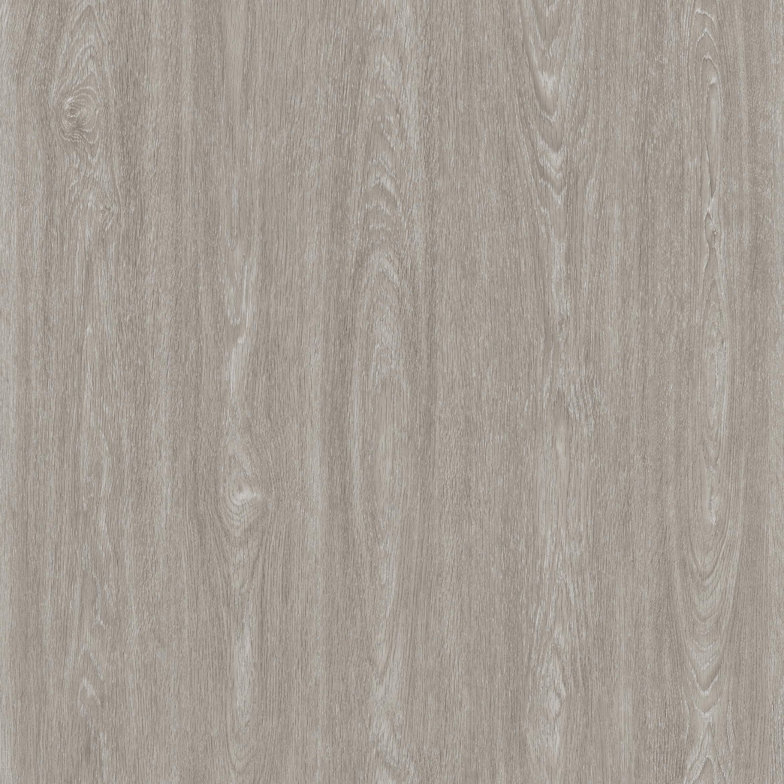 TT1206-1-White-Oak