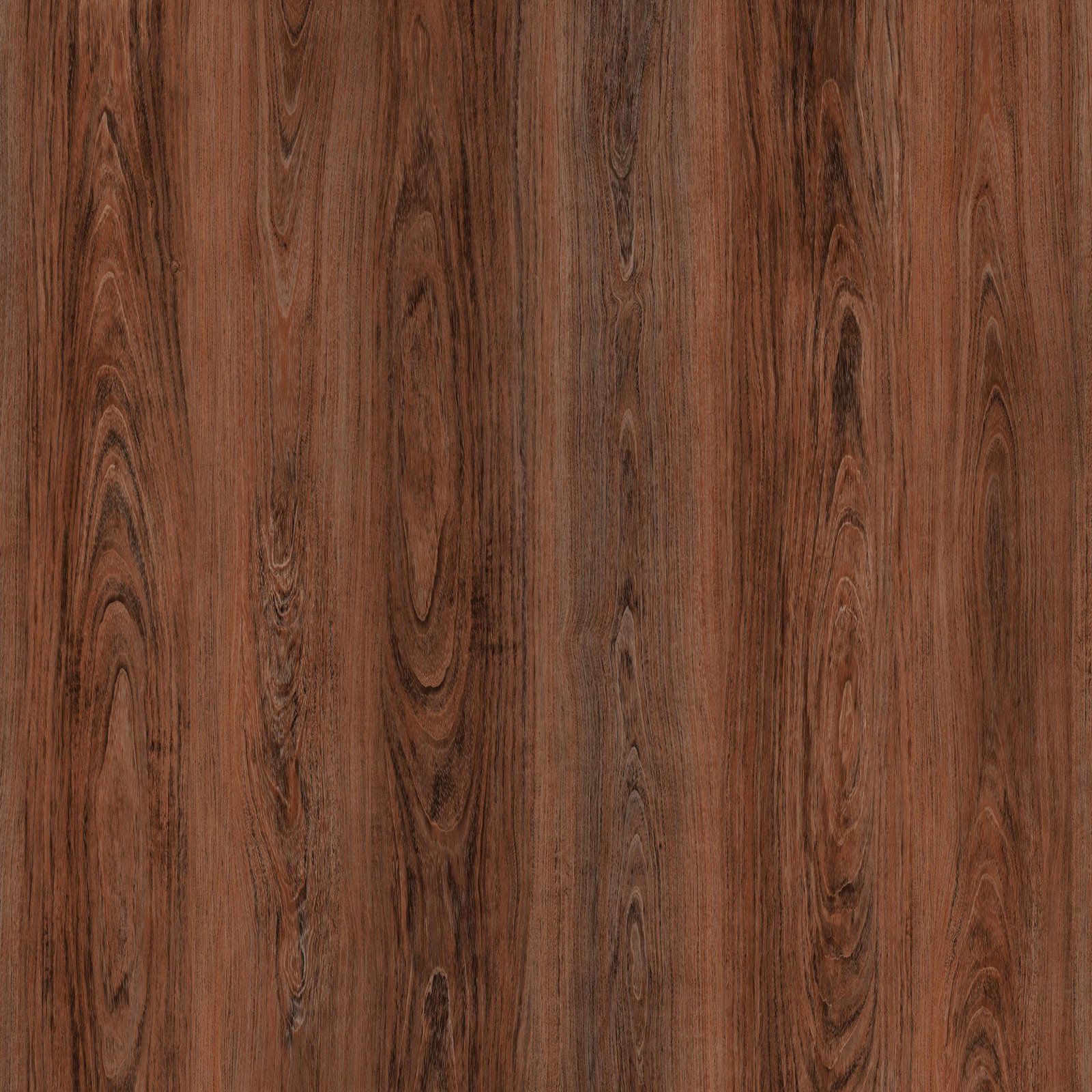 TT1232-Meriot TT1232-Meriot